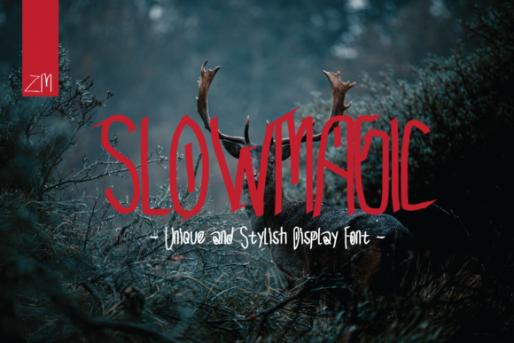 Slow Magic: A Stylish Display Font for Modern Branding