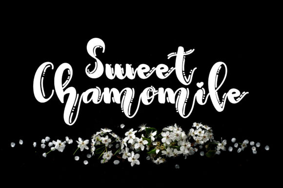 Sweet Chamomile: A Font That Balances Elegance and Versatility